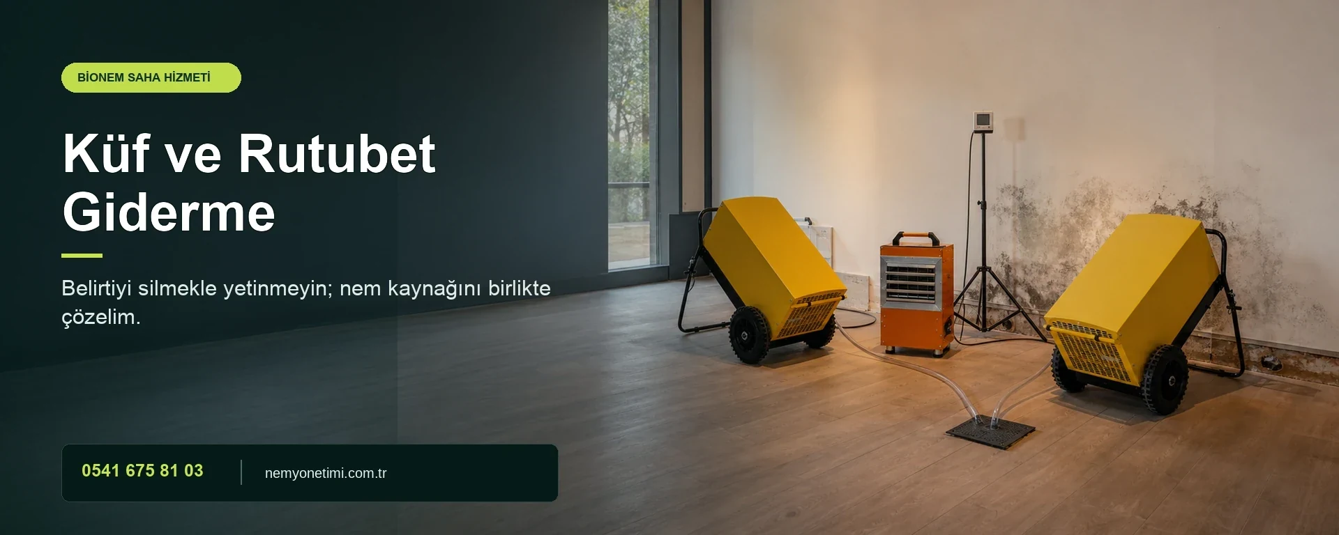 Küf ve Rutubet Giderme